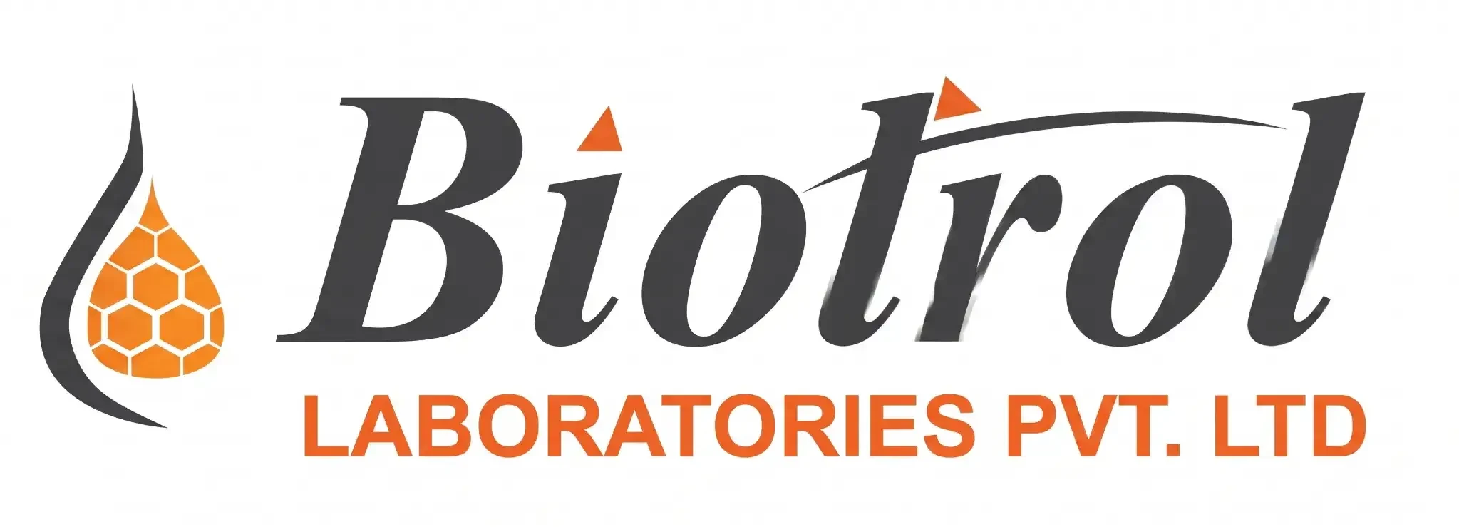Partner Logo